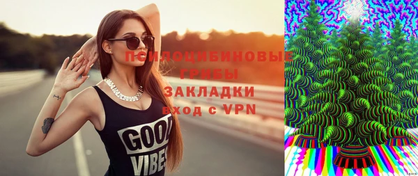 прущий лед Арсеньев