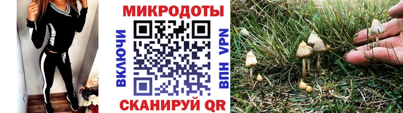дарнет шоп  Балей  Псилоцибиновые грибы мицелий 